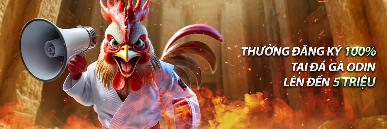 Hình ảnh sang trọng của chương trình VIP sòng bạc trực tuyến