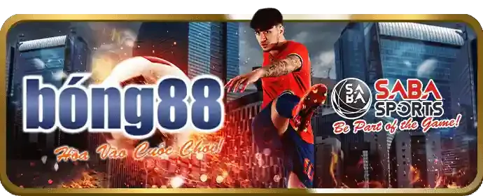 Hoàn tất cài đặt ứng dụng đá gà trên điện thoại